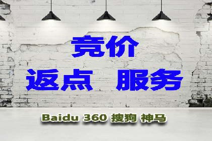 揭秘SEM代运营的成功要素与策略